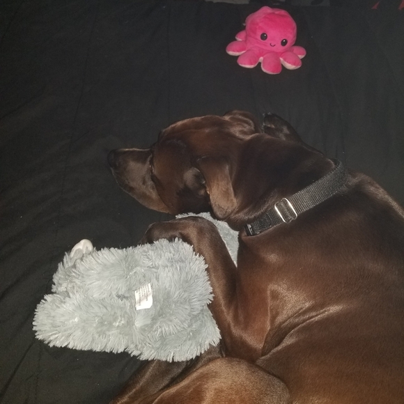 Meet your Posher, Melissa - Picture 10 of 12